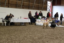 Junioriluokkaa/urokset