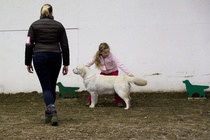 Lapsi & koira- luokan voittaja; Dreamstyle One Love "Liisa" & Nea Ollila