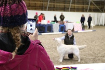 Noviisiluokan kuvaaja