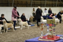 Valio/sertiluokka nartut