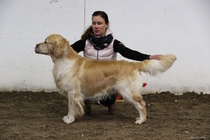 Valio/sertiluokan urosten voittaja; Clearing Pond`s James Dean