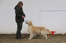 Käyttöluokan urosten voittaja; Häämörin Yhteisyritys
