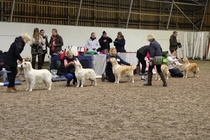 Valio/sertiluokka nartut