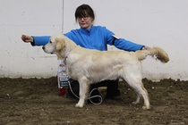 Pentuluokan urosten voittaja; Mehtäpellon Tera Retro Style