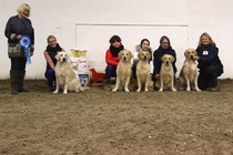 BIS jälkeläisluokka