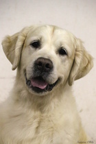 Paras pää: Clearing Pond's Flying High