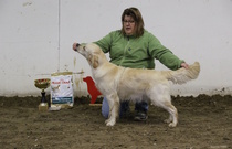 Juniori narttujen voittaja; Rushes Pancake With Honey