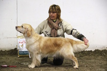 Käyttöluokan narttujen voittaja; Häämörin Yllätys